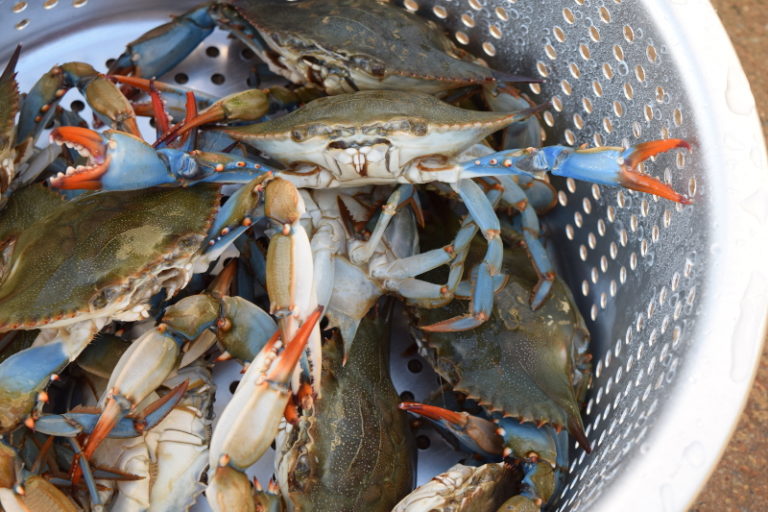 Low Country Crab Boil - Deliciously Plated