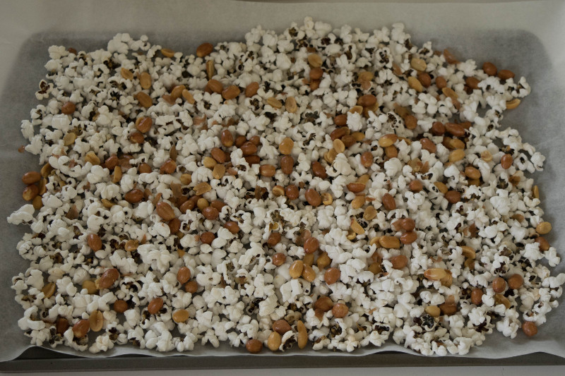 popcorn and redskin peanuts