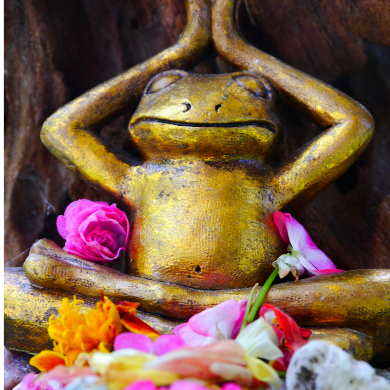 yoga frog with flowers