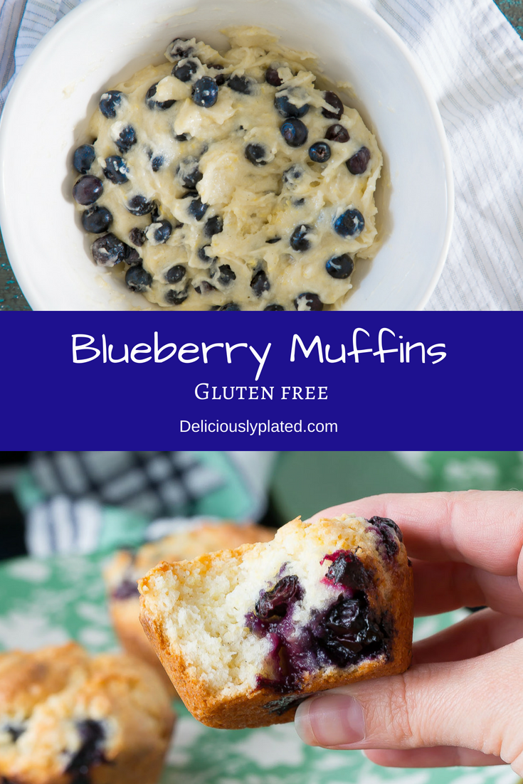 Gluten Free Blueberry Muffin Recipe