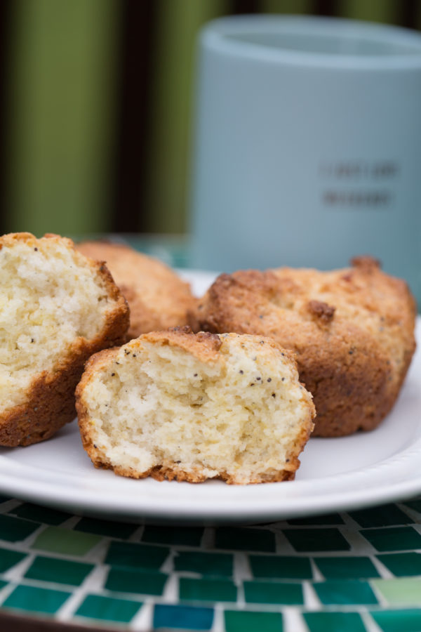 gluten free lemon poppy seed muffins